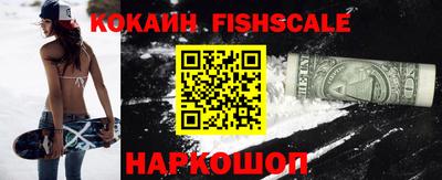 спиды Камышлов