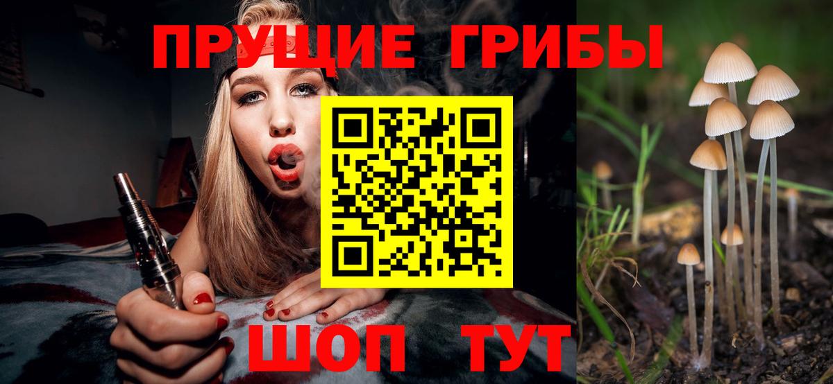 Псилоцибиновые грибы мицелий Морозовск