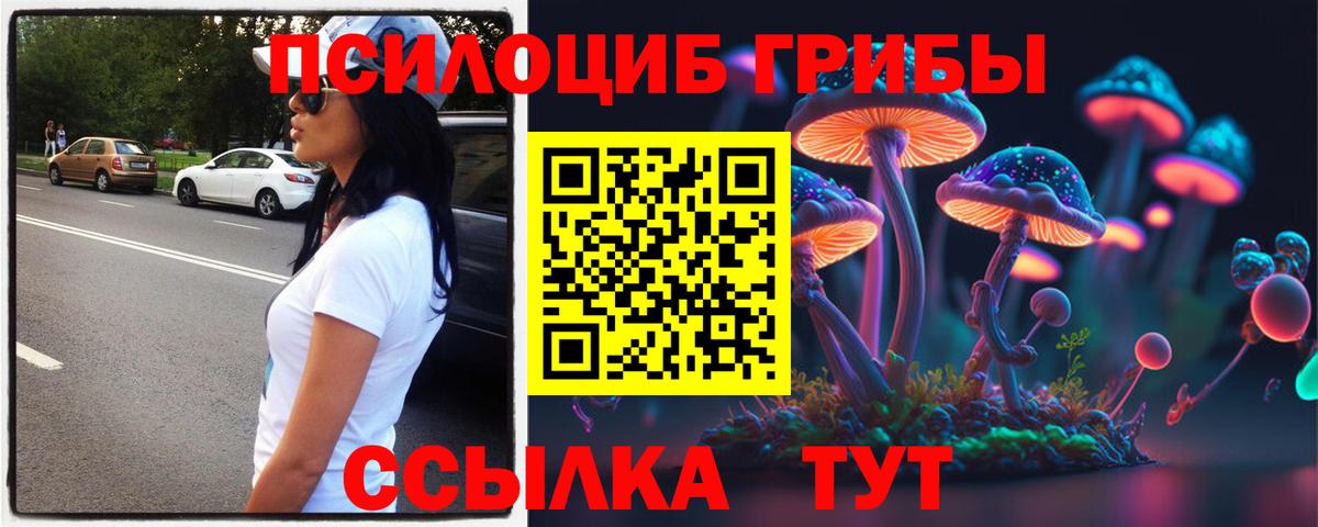 Галлюциногенные грибы GOLDEN TEACHER  купить закладку  Морозовск  Галлюциногенные грибы Psilocybine cubensis  Вход с VPN 